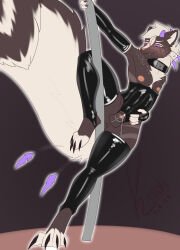 absurd_res anthro balls bodily_fluids chastity_cage chastity_device clothing digital_media_(artwork) fur genital_fluids genitals hair hi_res kiunata latex latex_clothing male mammal mephitid nipples nude penis pool_dance simple_background skunk smile solo submissive tail white_body white_fur