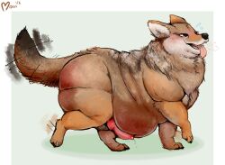 absurd_res animal_genitalia animal_penis balls belly big_belly bodily_fluids breath canid canine canine_genitalia canine_penis canis coyote feral fluffmoss genital_fluids genitals hi_res knot looking_pleasured male mammal morbidly_obese obese obese_feral overweight overweight_feral panting penis precum solo walking
