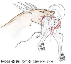 2004 ambiguous_gender anus armorine ass balls canine canine dragon duo feral head_first husky knot male male/ambiguous mammal neck_bulge penis soft_vore tongue vore