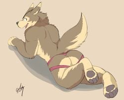 anthro ass canine clothing colored ginnosuke hi_res jockstrap looking_at_viewer male male_only mammal muscular presenting presenting_hindquarters simple_background solo underwear