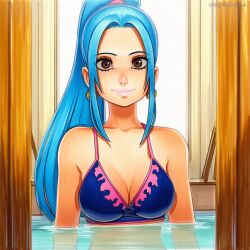 nefertari vivi from one piece by crazyfishbones