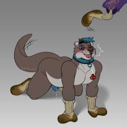 1:1 absurd_res all_fours anthro aurelion_sol bodily_fluids bondage chastity_cage chastity_device clothing collar dirty dirty_clothing dirty_socks dripping erection fetishame footwear genital_fluids gordon_the_otter hi_res hypnosis male mammal mind_control mustelid offscreen_character otter petplay precum precum_drip roleplay socks socks_on_hands solo