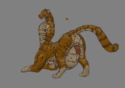 2020 animal_genitalia anus ass ass_up balls belly big_belly colored erection felid felid_taur fur genitals grey_background humanoid_genitalia humanoid_penis jeri_kleinlowe looking_back male male_taur mammal mammal_taur musclegut muscular nipples nude_male nude_taur orange_body orange_fur pantherine pantherine_taur penis perineum pink_anus pink_penis raised_tail sheath simple_background smile solo striped_body stripes tail tan_body tan_fur taur tiger tiger_taur