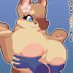 1:1 2021 5_fingers accessory animated anthro areola batartcave big_breasts blinking blue_eyes bouncing_breasts breast_fondling breast_play breast_squeeze breasts dewlap_(anatomy) digital_media_(artwork) disembodied_hand domestic_rabbit duo female female_focus fingers flemish_giant flower flower_in_hair fondling furry hair_accessory hair_over_eye hand_on_another's_breast hand_on_breast hazel_(shakotanbunny) huge_breasts lagomorph leporid mammal one_eye_obstructed original original_character oryctolagus pixel_(artwork) pixel_animation plant rabbit solo_focus squeezing
