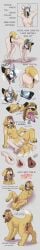 absurd_res anatomically_correct anatomically_correct_genitalia anatomically_correct_pussy anatomically_correct_vulva animal_pussy belt bird_dog bondage canid canine canine_genitalia canine_pussy canine_vulva canis collar comic dialogue domestic_dog english_text female female_feral feral gender_transformation genitals golden_retriever hi_res human hunting_dog in_heat long_image mammal muzzle_(object) nikki_(therazzdazzler11) open_mouth petplay puppyplay pussy retriever roleplay solo tall_image text therazzdazzler11 transformation transformation_sequence