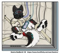 2019 4_toes against_surface against_wall animal_genitalia animal_penis anthro aphrodisiac_gas aphrodisiac_mask artist_name asylum balls black_pawpads blue_markings bondage bondage border bound bound_to_wall canid canine canine_genitalia canine_penis canis cum_collecting digital_drawing_(artwork) digital_media_(artwork) domestic_dog feet fur fur_markings gas_mask genitals gimp_mask grey_body grey_fur hi_res husky hypnotic_visor kemira leg_cuffs long_tail male mammal markings mask nordic_sled_dog obey on_ground padded_room pawpads penis penis_milking_machine pink_penis red_markings redline_husky restraints sitting solo spiral spitz story story_at_source story_in_description straitjacket straps tail text toes url white_balls white_body white_border white_fur