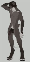 anthro balls black-kalak canine circumcised furry half-erect humanoid_penis male male_only mammal open_mouth penis pubic_hair smile solo standing