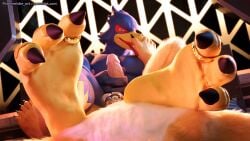 16:9 3_toes 3d_(artwork) 4k absurd_res avian bird blender_(artwork) canid canine chastity_(disambiguation) chastity_cage chastity_device claws digit_ring digital_media_(artwork) falco_lombardi falcon falconid feet first_person_view foot_focus fox fox_mccloud hi_res jewelry mammal nintendo paws ring star_fox stormrider talons text toe_ring toes url widescreen
