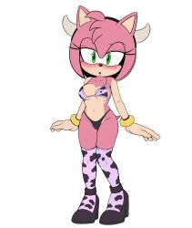 amy rose from sega by genyacero