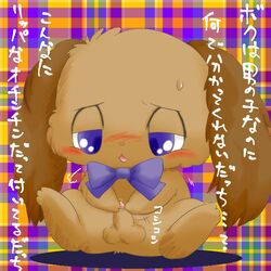 balls blue_eyes blush bow brown_fur feral fur io_(jewelpet) japanese_text jewelpet jewelpet_(species) lagomorph male male_only mammal masturbation open_mouth penis precum rabbit sanrio sega sega_toys simple_background solo suvaru sweat text uncut