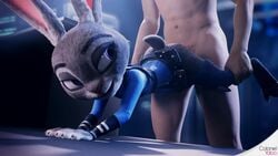 1boy 1girls 3d animated anthro big_dom_small_sub blender bouncing_ass clothed_female_nude_male clothed_sex clothing colonelyobo disney faceless_male female fur furry grey_fur human human_on_anthro human_penetrating interspecies judy_hopps larger_male male male/female male_human/female_anthro male_on_anthro police police_uniform policewoman size_difference smaller_female sound stockings tagme video webm wheelbarrow_position zootopia