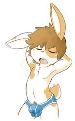 2017 anthro armpits blush briefs brown_hair brown_nose brown_spots bulge closed_eyes clothed clothing cum cum_in_underwear freckles fur hair hands_behind_head lagomorph male male_only mammal navel oob open_mouth pinup pose pubes rabbit simple_background skimpy solo standing teeth toony underwear white_background white_fur young