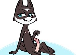 1boy 2017 animal_genitalia animal_penis anthro balls caitlin_vison disney english_text erection fan_character half-closed_eyes inkyfrog looking_at_viewer male male_only mammal mustelid navel nipples nude penis pointing polecat rule_63 simple_background sitting smile solo teal_eyes text white_background zootopia