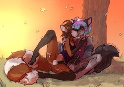 2017 alexis_(breathoftime) anthro arylon_lovire balls blush canine clothed clothing cum cute detailed_background duo erection forest fur grass hair husky legs_up male male_only mammal penis raccoon smile tree