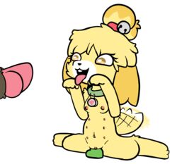 animal_crossing begging bell breasts canine canine collar digitigrade dildo female heart isabelle_(animal_crossing) male mammal multi_nipple nintendo nipples penis piebunny pussy sex_toy tailwag tongue tongue_out video_games