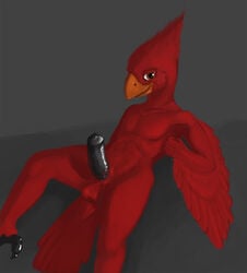 abs animal_genitalia animal_penis ankle_tuft anthro athletic avian balls barefoot beak big_penis biped bird black_penis black_skin brown_eyes cardinal_(bird) cheek_tuft claws collarbone crest erection feather_tuft feathered_wings feathers feet fist grey_background hand_behind_back head_tuft looking_at_viewer male nude nyar orange_beak pecs penis pose pubes reclining red_feathers shiny shiny_skin shoulder_tuft side_view simple_background smile solo speedpaint spread_legs spreading tail_feathers talons toe_claws toes tuft winged_arms wings