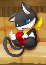 black_fur blue_eyes blush feline fur hi_res male_only mammal masturbation megami_tensei morgana_(persona) penetrable_sex_toy persona persona_5 rodemaru sex_toy spread_legs spreading sweat