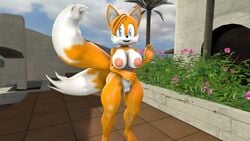 2017 3d anthro areola big_breasts blue_eyes breasts canine darksorm female fox fur furry mammal multiple_tails nipples nude open_mouth outdoors pussy rule_63 smile solo sonic_(series) source_filmmaker tails tailsko