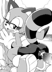 anus ass balls coolblue cub cum cum_in_pussy marine_the_raccoon outside penis pussy sonic_(series) sweat through_clothes vaginal_penetration