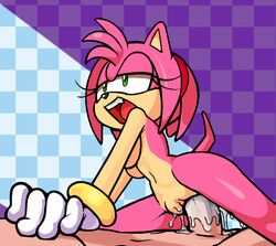 amy rose from sonic (series) by filthypally