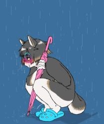 2023 anthro blush bodily_fluids canid canine canis clothing crocs crouching digital_drawing_(artwork) digital_media_(artwork) domestic_dog eyewear eyewear_only female female_peeing flat_colors footwear footwear_only full-length_portrait fur genital_fluids glasses glasses_only haganedon hair half-closed_eyes hi_res holding_object holding_umbrella mammal mostly_nude mostly_nude_anthro mostly_nude_female multicolored_body multicolored_fur narrowed_eyes nude nude_anthro nude_female peeing portrait raining short_tail side_view simple_background solo tail topwear umbrella urine urine_stream watersports wearing_glasses