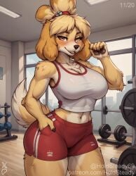ai_assisted ai_generated animal_crossing animal_nose anthro blush body_fur canine cute facing_viewer female full_body fur furry girl gym gym_clothes gym_uniform holdsteady hourglass_figure isabelle_(animal_crossing) large_breasts looking_at_viewer patreon patreon_username seductive seductive_pose shorts skirt snout standing tagme tail tank_top topknot voluptuous