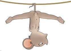 animal beastiality ernest_and_celestine flat_chest helix mouse pussy tagme