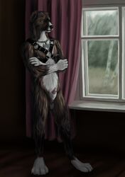 anthro canine canine harness lemurlemurovich male mammal nude penis piersing window