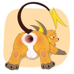 3_toes alpha_channel anus ass balls biped bipedal_feral curling_toes digital_media_(artwork) feet feral fur gaping gaping_anus generation_1_pokemon genitals hair hi_res looking_at_viewer lying male male_only mammal nintendo on_front open_mouth pokemon pokemon_(species) raichu raised_tail rodent simple_background solo tail toes tongue tongue_out transparent_background whyvern