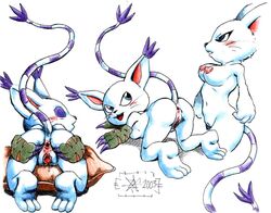 2003 anus ass bent_over black_nose blue_eyes blush breasts color digimon exposed_breasts female female_only fur furry furry_ass furry_breasts furry_ears furry_tail gatomon open_eyes open_mouth pointy_ears purple_fur pussy sawblade_(artist) solo tail uncensored white_background