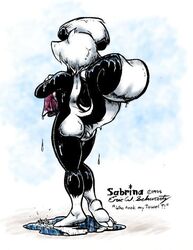 1990s 1995 20th_century 90s anthro back_view eric_schwartz female furry nude sabrina_conrad sabrina_online skunk solo webcomic