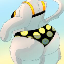 lemonade cat from roblox by rickydraws