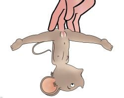 animal beastiality ernest_and_celestine female flat_chest helix mouse pussy tagme