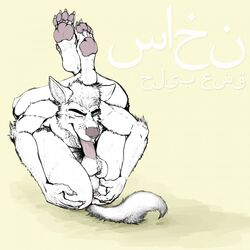 anthro anus arabic_text autofellatio balls canine erection fingering garek_maxwell hairy_balls jackal male male_only mammal masturbation oral penis saliva solo text translation_request