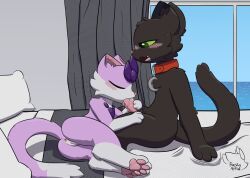 anthro anthro_on_anthro anus ass bed blush bodily_fluids collar collar_tag curtains curtains_open domestic_cat drooling duo feeshyartist feet felid feline felis fellatio female furniture genitals happy_(lobotodoc) hi_res holding_penis larger_male male male/female mammal miu_(feeshyartist) moon_collar_tag oral paws penile penis philikkahn pillow presenting presenting_anus presenting_hindquarters presenting_pussy presenting_vulva pussy saliva saliva_on_penis sex size_difference view vulva