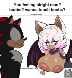 1boy 1girls anthro areolae bat big_breasts breasts breasts_out busty caption chiropteran cross_samax female hedgehog huge_breasts large_breasts male meme nipples png rouge_the_bat shadow_the_hedgehog sonic_(series) sonic_the_hedgehog_(series) wings