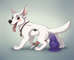 animal_genitalia animal_penis balls bolt_(character) bolt_(film) canine dildo disney erection feral grey_background male male_only mammal penis sex_toy simple_background solo testicles zetsin