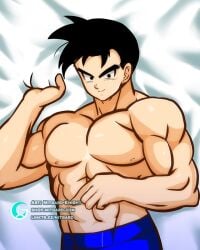 bodypillow commission_art dakimakura fanart future_gohan gohan husbando mitgard-knight mitgardstore