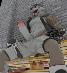 abs anaroth anthro big_penis canid canine canis clothed clothing epic_games fortnite fur genitals glistening glistening_clothing half_naked hi_res huge_cock looking_pleasured male mammal muscular muscular_anthro muscular_male nude open_mouth penis presenting presenting_penis seductive solo spread_legs spreading wendell_(fortnite) wolf