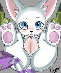 :3 blush breasts close-up digimon feline female fur furry furry_only gatomon inviting lfer looking_at_viewer nude plump_labia pussy solo tail