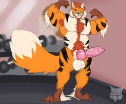 animal_genitalia animal_penis balls big_balls big_knot big_penis body_hair canine canine_penis cocky feline flexing fox greyfuzzbutt grin gym huge_cock hybrid knot male male_only mammal muscular penis pesk slightly_chubby smile solo tiger