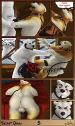 anthro ass balls bear blush cap.grolarbear collar duo erection fellatio fur furry leash looking_back male mammal nude open_mouth oral overweight penis polar_bear presenting push rear_view scared sex smile surprise yaoi