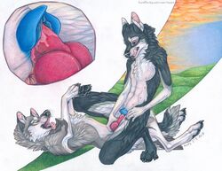 2017 4_toes 5_fingers animal_genitalia animal_penis animal_pussy anthro anthro_on_feral anus canine canine_penis canine_pussy clitoris close-up cowgirl_position cutaway duo female feral flat_chested fur grey_fur hi_res kneeling knot licking licking_lips lying male male_penetrating mammal multi_nipple navel nipples nude on_back on_top open_mouth pawpads paws penetration penis penis_grab pussy red_eyes sex straight toes tongue tongue_out toots vaginal_penetration white_fur wolf yellow_eyes zoophilia