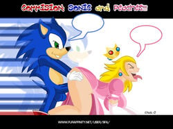 blue_fur crossover dsng elbow_gloves furry gloves hedgehog mammal mario_(series) nintendo princess_peach sex sfa sonic_(series) sonic_the_hedgehog straight