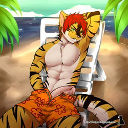 anthro beach clothed clothing erection feline humanoid_penis looking_at_viewer male male_only mammal muscular natysanime penis seaside smile solo thick_penis topless unzipped