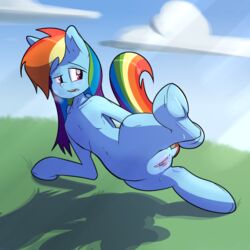 anus equine female friendship_is_magic hooves mammal my_little_pony pegasus presenting pussy rainbow_dash_(mlp) simple_background solo straight_hair wings zeplich