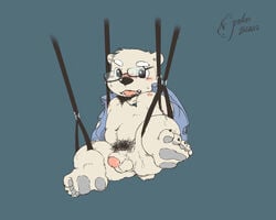 anthro balls barefoot bear blush bottomless clothed clothing cum eyewear flaccid glasses jewelry male male_only mammal necklace nipples penis polakuma polar_bear pubes solo suspension unbuttoned_shirt