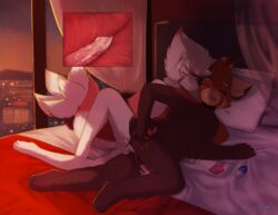 2017 aiponda_(character) bed ferret furry internal male mammal mustelid penis red_panda romantic_couple sex sunnynoga sunoga_(character) yaoi