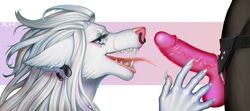 ambiguous_gender anthro canine dildo duo ear_piercing facial_piercing female female/ambiguous fur hair mammal mikinyaro nose_piercing piercing scar sex_toy strap-on teeth tongue tongue_out