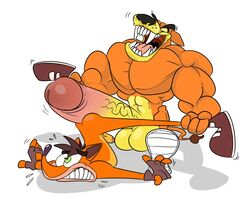 2boys anthro balls bandicoot big_penis crash_(series) crash_bandicoot duo erection foxbtails furry gay huge_cock humanoid_penis hyper hyper_penis large_penis male male_only mammal marsupial muscular penis thylacine tiny_tiger uncut yaoi